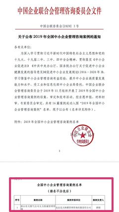 全國(guó)中小企業(yè)管理咨詢(xún)案例第一名解析 卓越管理與創(chuàng)新實(shí)踐