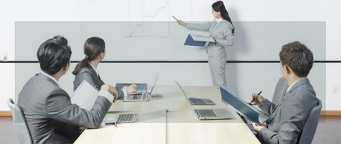 濰坊企業(yè)管理咨詢服務 賦能企業(yè)升級，驅(qū)動區(qū)域經(jīng)濟高質(zhì)量發(fā)展